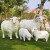 别颖仿真绵羊摆件山羊玻璃钢雕塑园林花园庭院装饰大型公园动物摆件 大号公羊/高130cm