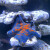 海星活宠物活体海水鱼缸迷你海洋生物水族观赏动物活的翻砂小海星 12厘米左右海星2只+一罐盐