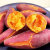【精选直发】新鲜红薯超甜板栗薯番薯农家自种蔬菜小香薯沙地蜜薯 5斤 小果