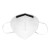 霍尼韦尔 口罩KN95 防雾霾防工业粉尘折叠式 H910Plus 耳带式 10只装