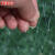 工品云超 防鸟用网 果园果树防麻雀专用尼龙网网罩户外防护网【10米宽约6米长】	