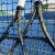 尤尼克斯（YONEX） 网球拍EZONE龙纹大坂直美娜奥米龙年礼盒专业全碳素球拍 【22款】紫金 98 305g 2#
