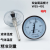 上海天川仪表厂轴向双金属温度计WSS-401403背接式管道水温度表 300度以内 长度900MM