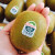 源枝园味新西兰进口绿奇异果绿果 25-27只装礼盒装绿心猕猴桃新鲜水果 12只普通装单果约120g1.40kg