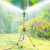 HUICAI草坪灌溉自动旋转360度 三脚架洒水喷头+6分接头套装+50米6分管