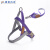雅欧风尚军犬训练绳训犬装备追踪牵引绳 紫色2.5(33-55)cm