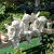 菲落  欧式户外天使花园雕塑人物摆设装饰景观雕像创意庭院校园落地摆件 看书天使