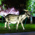 别颖仿真绵羊摆件山羊玻璃钢雕塑园林花园庭院装饰大型公园动物摆件 大号公羊/高130cm