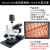 sanqtid光学 三目正置透射金相显微镜科研级5000X高倍大景深自动 TD-DJZ-4KD+15.6寸4K屏