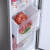 海尔（Haier）冰箱 风冷无霜 双门两门冰箱小型家用 自动除霜 节能低噪190升