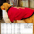 珊野大狗狗衣服秋冬装新年金毛犬拉布拉多萨摩耶宠物夏季中型犬大型犬 红色新年发财(私人定制款) 7XL(建议60-75斤)