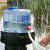 户外水桶塑料PC饮用纯净矿泉水桶车载储水箱带龙头装水桶 12升带孔盖+无孔盖+防尘塞+