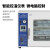 力辰实验室电热恒温真空干燥箱灭菌消毒干燥箱工业烘干箱机 套装LC-DZF-6020A配2XZ-2