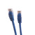 LHG CAT5e 超五类网线蓝色 1m