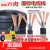 RVV电缆线国标电线软线2芯3芯1254610平方电缆线户 国标36+24平方1米价