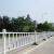 创悟邦 城市道路护栏公路隔离栏市政交通护栏马路防撞护栏 高1.2米立柱+底座一套