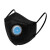星工（XINGGONG）KN95口罩 防尘工业粉尘花粉 硅胶鼻垫耳戴透气防护口罩 10只 黑色