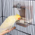 宠尚天（Jonsanty）鸟食盒喂鸟器下料器鹦鹉用品 自动喂食器