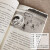 皮皮鲁总动员经典童话系列 第2辑皮皮鲁传和鲁西西的故事 郑渊洁 著  6-12岁儿童课外书 皮皮鲁和流星暴雨