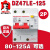 DZ47-125漏电断路器2P单相两极大功率保护D型80A 2P 125A 80A 100A