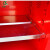 齐鲁安然 工业防爆柜 安全柜 化学品存放柜 药品柜 液体易燃易爆危险品存放【红色 12加仑 45L】