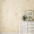 德尔菲诺 DELFINO环保韩式田园无缝墙布全屋现代简约墙纸卧室客厅背景墙提花壁布 GT63-039 米黄色