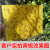 海斯迪克 HKZ-73 双面粘虫板 大棚温室黏虫防虫 黄板25*40（10张）