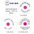 EO灭菌标签3.6分指示卡贴纸红变蓝 中文英文 中英文版红色未灭菌1