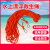 江波（JIANGBO）救生绳游泳绳子 救援安全绳漂浮水上救生圈浮索逃生绳 直径16毫米橘色普通30米