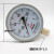 红旗 仪表普通压力表Y-100水压1.6MPa气压真空负压表油压 单位：个 0-0.4MPA