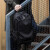 莫奈德品牌双肩包男大容量背包男士休闲旅行电脑包笔记本书包情人节礼物 经典黑（43*30*19CM）