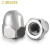 嘉耐特（JNT）304不锈钢盖型螺母 装饰螺帽 圆头螺丝帽 M20 [1个]304材质
