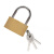 苏识  SS1013  黄铜小挂锁门锁文件柜锁 门锁钥匙锁柜子锁 锁宽50mm+锁钩净高28mm 单开(把)黄色 含钥匙×3 把