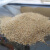 渗水杯过滤杯套装黏土沙子土壤渗水性实验四年级科学[科学猩] 沙子500g