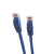 利合光电（LHG）超五类网线Cat5e超5类机制成品跳线非屏蔽无氧铜芯装修网络宽带连接线  2米