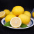 梦芷四川安岳黄柠檬皮薄多汁新鲜柠檬应季水果特产 2斤优选中果（80g起）