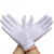 者也 ZY45礼仪手套高弹氨纶手套广场舞表演白手套男女款 白色10双