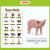 思乐（Schleich S）仿真动物模型 羊驼13920猪兔公羊羔火鸡家禽农场动物儿童玩具手办 小猪玩具13934