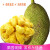 全香果 海南菠萝蜜20-25斤1个 现摘 新鲜水果