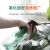 柯瑞柯林PSH05ZG喷雾瓶浇水喷药喷水园艺植物保湿施肥小水壶钻石款绿色500ml5个装