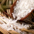 延寿稻田 长粒香大米 东北大米5kg 粳米粥米10斤 当季新大米