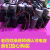浙江双峰电容电机启动运行电容器 全系列  保证质量 100VF-250V 尺寸34*70