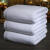 大卫 浴巾 80×160cm 白色 宾馆专用 棉 单位：个