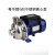 WB200-400/110/150/185-P不锈钢离心泵清洗冲洗设备医药水 WB200/075-P 380V