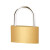 京斯坦 黄铜挂锁 小号薄型长梁户外防水防锈挂锁门锁电力电表锁小锁头 30mm短梁通开（2个）