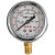 定制Y60不锈钢水压力表空压机气压表地暖消防自来水01 Y1004分螺纹016mpa