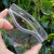 塑料pvc透明防水袋自封口挂牌套园林树木品名物料标识卡吊牌室外 尼龙扎带1包500根