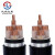 沈缆红星 电缆线YJV22-0.6/1kV-4*2.5平方四芯国标铠装铜芯电力电缆 硬线 1米
