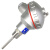 威锐嘉 温度传感器铂热电阻PT100 WZP-231感温探头4分螺纹装配式固定螺纹（定制） （PT100型）插深=800mm 