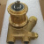 P1ROCON泵离子冷却泵101B100F11BC099 101B070R12BA200 水泵 101B100F11BC099